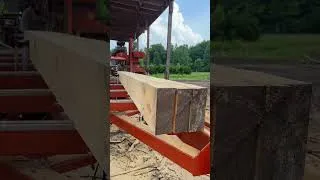 Thumbnail: Pallet wood production #sawmill #woodmizer #lumber