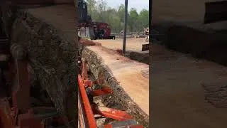 Thumbnail: Sawing sweet gum on our LT 40 Woodmizer