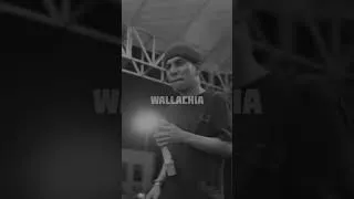 Thumbnail: Wallachia at the Night Market Concert of the Presidential Palace of Timor-Leste #viral #viralvideo