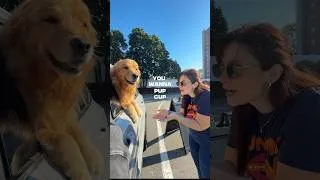 Thumbnail: Doggie Drive Thru??? 👀