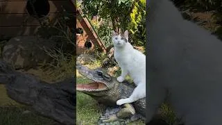 Thumbnail: Mommy! Queen of Dragons??
