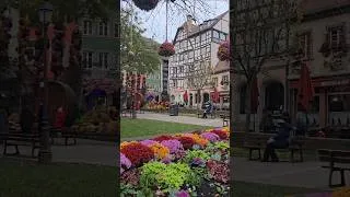 Thumbnail: France 🇨🇵 Strasbourg | Full Video➡️ Alsace Winter Charm #france #strasbourg #christmas #alsace