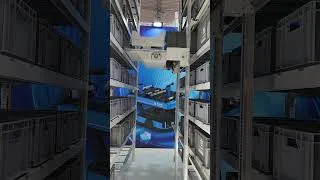 Thumbnail: Smart Budget-Friendly Automated Robotic ASRS