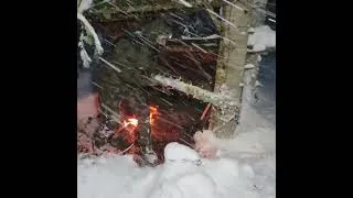 Thumbnail: Heavy Snow Camping with My Dog in a Spruce Forest ❄️🐺