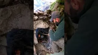 Thumbnail: Building a Rain Shelter with My Dog | Bushcraft Shorts