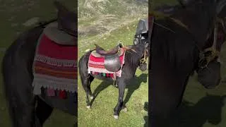 Thumbnail: یہ مزاق نہیں ہے معزرت کے ساتھ ششٹم ورڈ استمال کیا تا کے کوئی پریشانی نہ ہو #solocamping #travelvlog