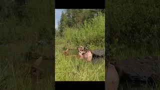 Thumbnail: Funny Moment Ep. 34