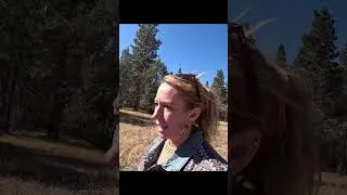 Thumbnail: Blue Mt. Lookout