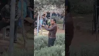 Thumbnail: Service at the Garden of Gethsemane
