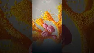 Thumbnail: The Colours Your Brain Erased | The Colours That Exist but Your Brain Refuses to See #Shorts