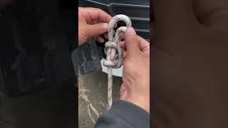 Thumbnail: Knot technique