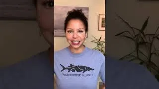 Thumbnail: Waterkeeper Alliance x Blue & Yellow Project