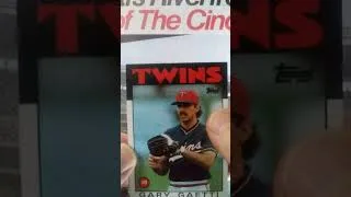 Thumbnail: 1986 Topps Gary Gaetti Led the League in Bushiness #shorts