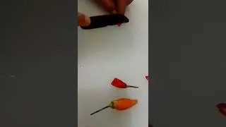 Thumbnail: how to slice chili?