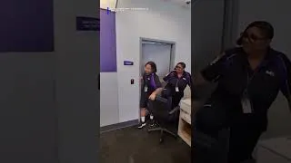 Thumbnail: Live iguana stuns workers at FedEx
