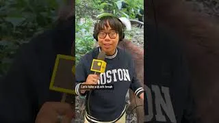 Thumbnail: Goatscaping: A different kind of landscaping