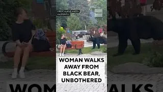 Thumbnail: Woman walks away from black bear, unbothered #shorts