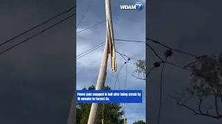 Thumbnail: Power pole snapped in half after being struck by 18-wheeler in Forrest Co #news #shorts