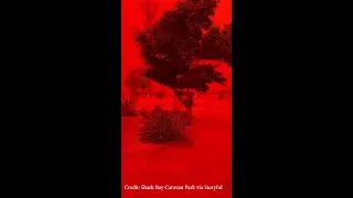 Thumbnail: Australian sky goes blood red in advance of tropical cyclone