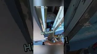 Thumbnail: Hero Climbs Across Balconies to Rescue Trapped Husky🙏🥹