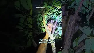 Thumbnail: Kindhearted Climber Risks his Life to Save Animals in Need🥹❤️