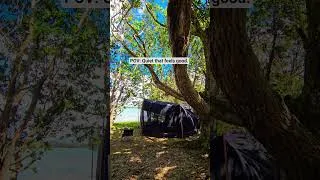Thumbnail: Quiet that feels good. #camping #weallcamp  #carcamping
