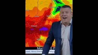 Thumbnail: Raining cats and Dillon.