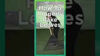 Thumbnail: Instagram PT Sample: Proper Raking