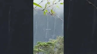 Thumbnail: God’s Country