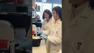 Thumbnail: The Why Behind the Lab Coat with Dr. Vered Stearns | Weill Cornell Medicine