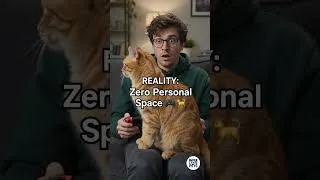 Thumbnail: What they DON’T tell you about pet adoption... 🛑🐾