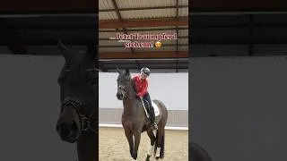 Thumbnail: Get to know… Unsere Katalognummer 3 - Dixieland Delight v. Dynamic Dream/Sandro Hit ❄️ #equestrian