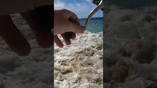 Thumbnail: Therapeutic Sights and Sounds