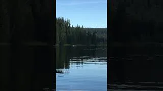 Thumbnail: Out at the lake