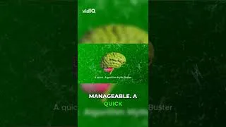 Thumbnail: Miracle grow for your neurons! 🚀