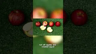 Thumbnail: This Is Why Apples Help Digestion #didyouknow #applehealth #energyboost  #facts #quickenergy #apple