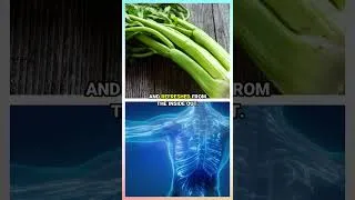 Thumbnail: Celery — The Crunch That Heals! 🥬❤️ #whenyougarden #celery #celerybenefits