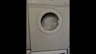 Thumbnail: Servis Ecocare Dryer first run #laundry #dryingclothes #servis #tumbledryer
