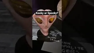 Thumbnail: which one pick one kookie or spooky? #pickone #choose #thisorthat  #kookie #spooky