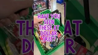 Thumbnail: ✨ Why didn’t I do this sooner?! Hidden Gem #DollarTreeDIY with #ModPodge 🙌🏼