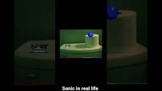 Thumbnail: Sonic in real life
