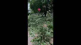 Thumbnail: Storm damage in Corning Thursday morning