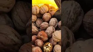 Thumbnail: Why Eating Walnuts Lowers Your Bad Cholesterol Without Any Medication