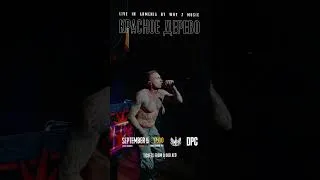 Thumbnail: Красное Дерево, 5 сентября в Армении! #shorts #yerevan #armenia #hiphop #concert #live