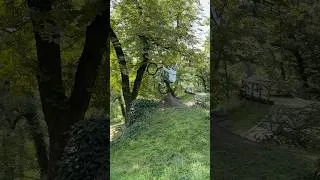 Thumbnail: Flipping through the trees?!🤯 #shorts