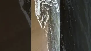 Thumbnail: Beach boyz