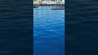 Thumbnail: cabo 5