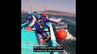 Thumbnail: Your Support Makes WildAid's Work Possible #GivingSeason2024