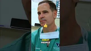 Thumbnail: Abandoned Dog Makes a Miraculous Recovery!