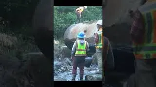 Thumbnail: Swim Free: Watch This Fish Passage Get a Major Glow Up